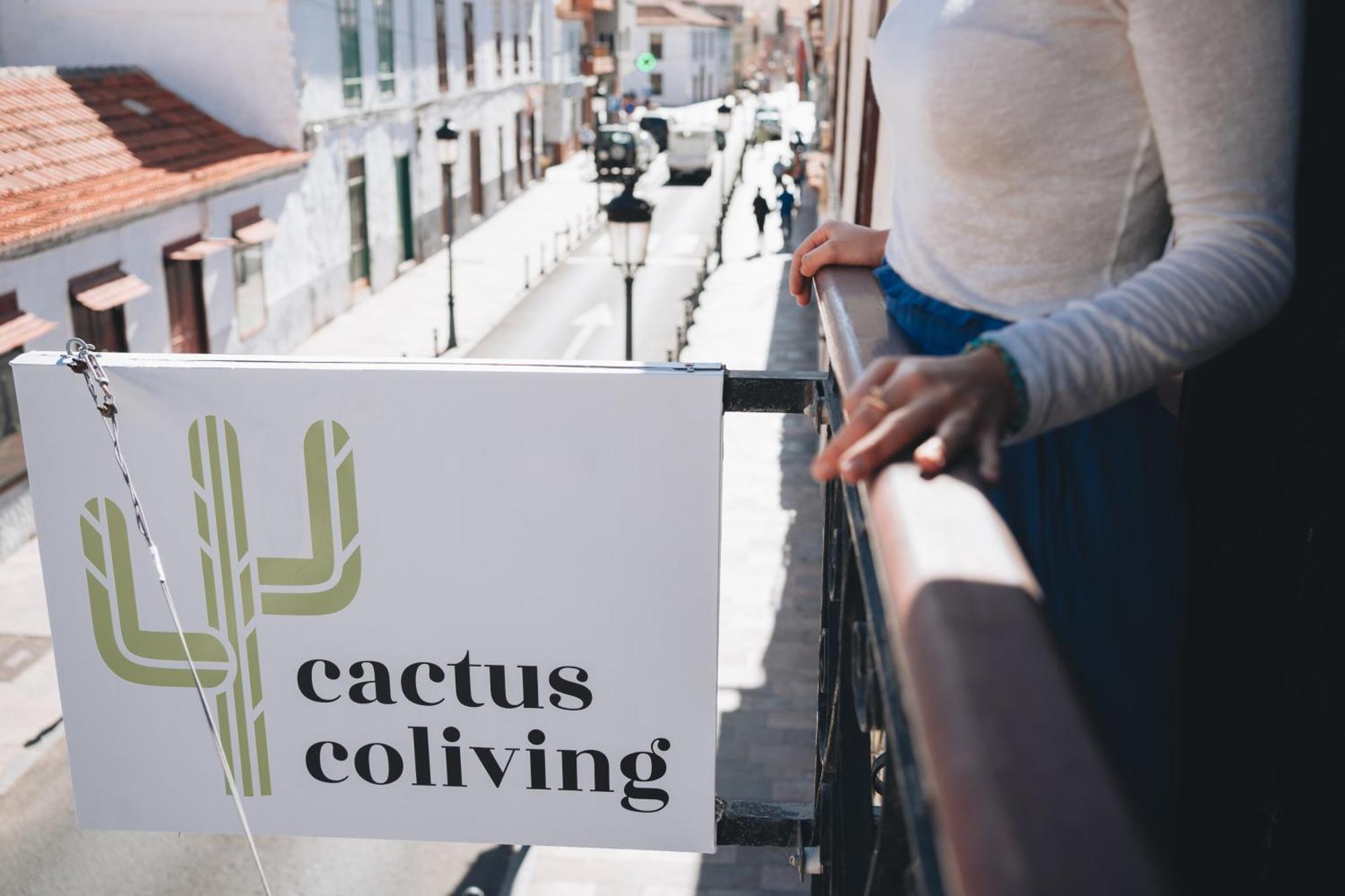 Cactus Hostel Сан-Себастьян-де-ла-Гомера Экстерьер фото